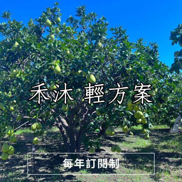 禾沐輕方案 禾沐 輕方案 | (3盒水果禮盒)每年自動扣款
