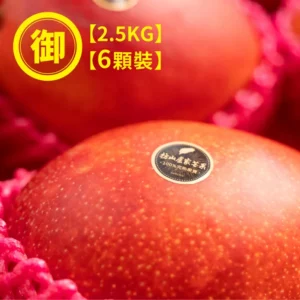 枋山盧家御用級 | 愛文芒果6顆裝( 2.5公斤)