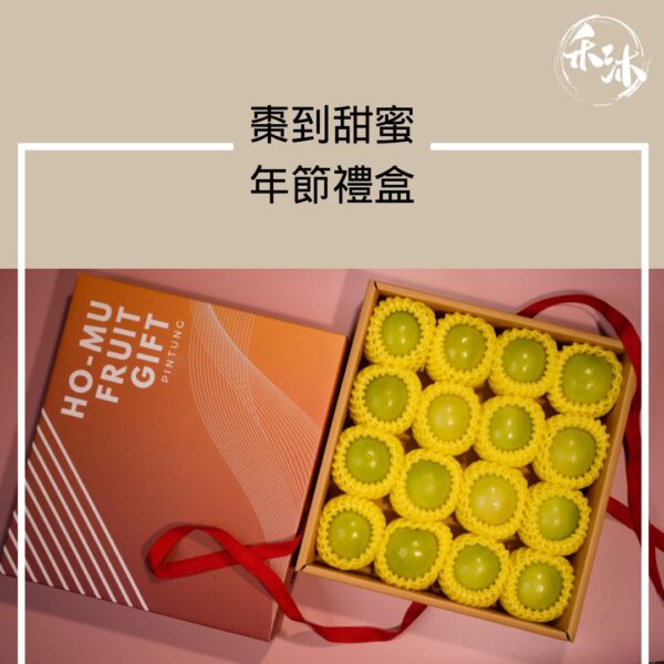 禾沐 棗到甜蜜年節禮盒