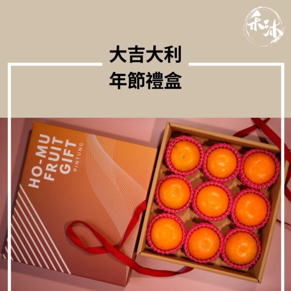 禾沐 大吉大利年節禮盒